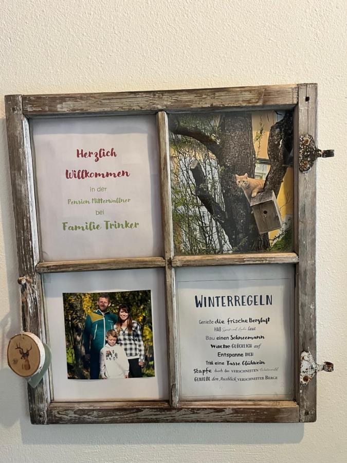 Pension Mitterwallner Шладминг Екстериор снимка